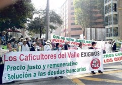 Paro-Nacional-Cafetero