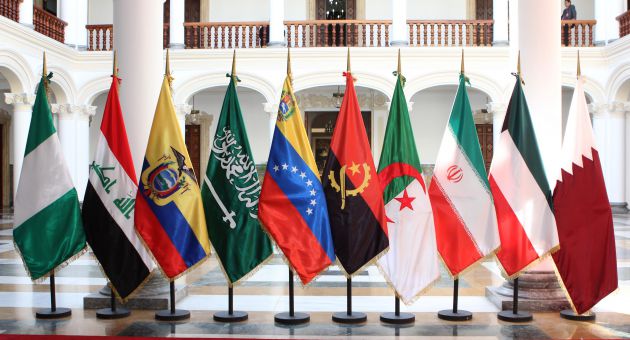 020515ecfotooficialembajadores_paisesopep0041423185850