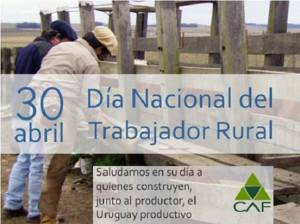 11011718_10206772991983865_2037170405059403510_n