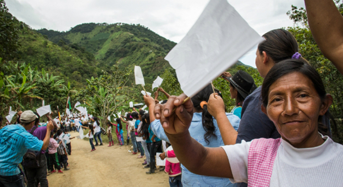 francisco_thoumi_aumento_cultivo_campesinos_farc_ep