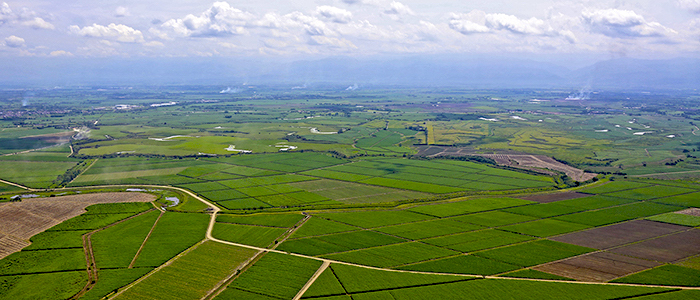 suescun_fuerte_desigualdad_distribucion_rural_propiedad