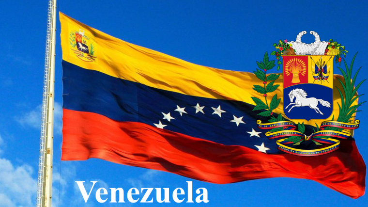 DEFENSA DE VENEZUELA